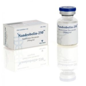 Verkauf und Preis Nandrolon-Decanoat (Deca) 10ml vial (250mg/ml)