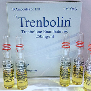 Verkauf und Preis Trenbolon-Enanthogenat 10 ampoules (250mg/ml)