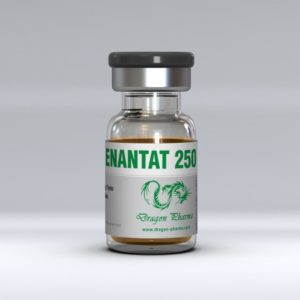 Verkauf und Preis Testosteron Enanthate 10 ml vial (400 mg/ml)